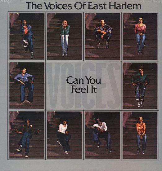 The Voices Of East Harlem - Can You Feel It - Soul Brother UK LP