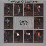 The Voices Of East Harlem – Can You Feel It – Soul Brother UK LP