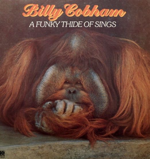Billy Cobham - A Funky Thide Of Sings - Atlantic LP