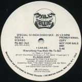 Flashlight – Beware, She’s Pulling My Strings b/w I Can Be (Everything You Want Me To Be) – Philly Groove DJ 12″