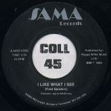 Fred Sanders – I Like What I See b/w I Had A Feeling – Sama 7″