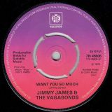 Jimmy James & The Vagabonds – Now Is The Time b/w Want You So Much – Pye UK 7″