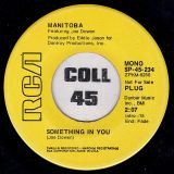 Manitoba – Something In You STEREO b/w MONO Version – RCA DJ 7″