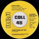 Manitoba – Something In You STEREO b/w MONO Version – RCA DJ 7″