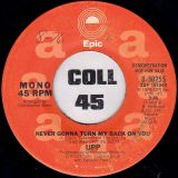 UPP – Never Gonna Turn My Back On You Mono b/w Stereo – Epic DJ 7″