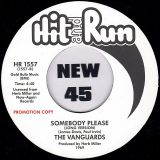 The Vanguards – The Ground That You’re Walking On, Before You Take Another Step Girl b/w Somebody Please (Long Version) – Hit And Run UK DJ 7″