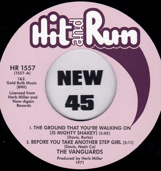 The Vanguards - The Ground That You're Walking On, Before You Take Another Step Girl b/w Somebody Please (Long Version) - Hit And Run UK 7"
