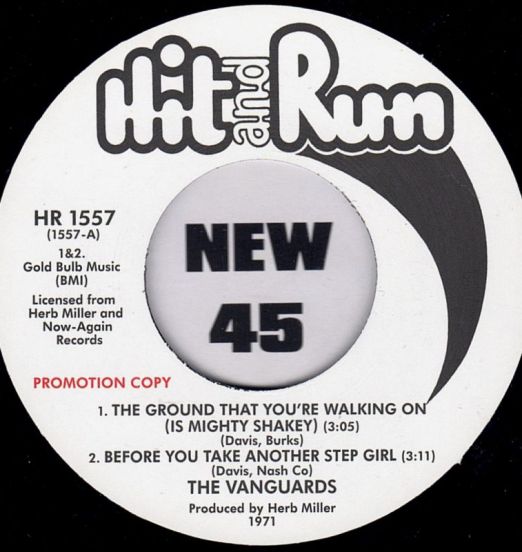 The Vanguards - The Ground That You're Walking On, Before You Take Another Step Girl b/w Somebody Please (Long Version) - Hit And Run UK DJ 7"