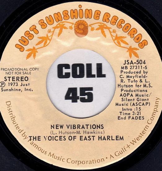TheVoicesOfEastHarlem–NewVibrationsB