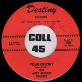 The West Brooks Singers – Summertime Again b/w Your Destiny – Destiny 7″ OFFERS!