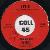 Van Trevor – A Fling Of The Past b/w C’mon Now Baby – Vivid 7″