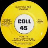 Nanette Stanley – What A Way To Go b/w Same – Quintana Roo 7″ *STORE-STOCK*