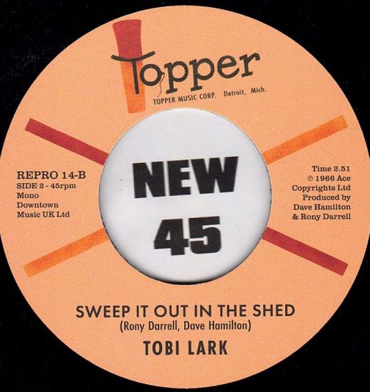 TobiLark-SweepItOutB
