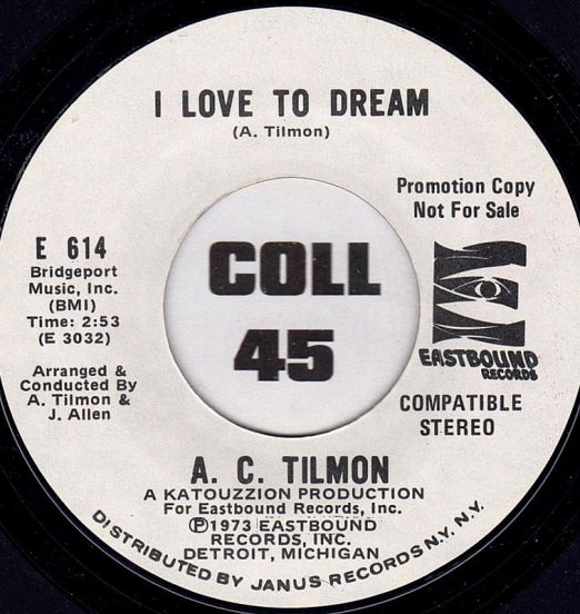 ACTilmon-ILoveToDreamB