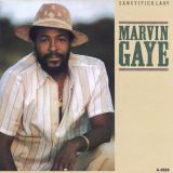 Marvin Gaye – Sanctified Lady b/w Instrumental – Cbs NL 7″