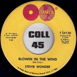 Stevie Wonder – Ain’t That Asking For Trouble b/w Blowin In The Wind – Tamla 7″