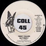 Terry Callier – Butterfly b/w Stereo – Elektra DJ 7″