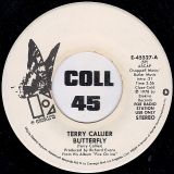 Terry Callier – Butterfly b/w Stereo – Elektra DJ 7″