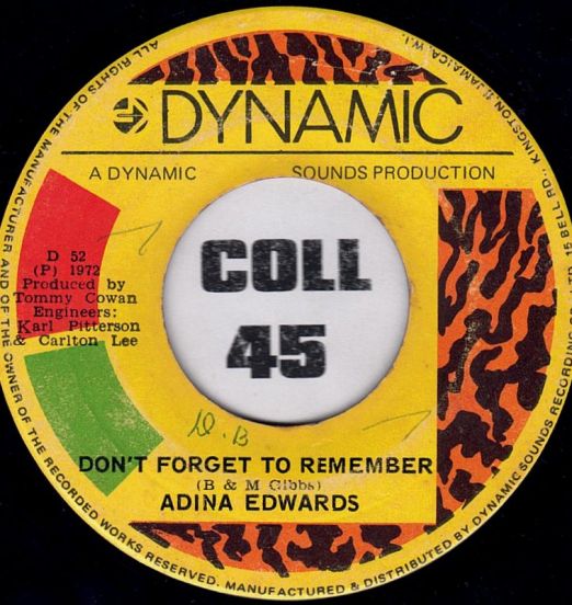 AdinaEdwards-Don'tForgetToRememberB