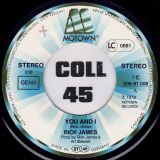 Rick James – You And I b/w Hollywood – Motown GER 7″