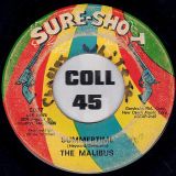 The Malibus – Summertime b/w Ten Times A Day – Sure-Shot 7″