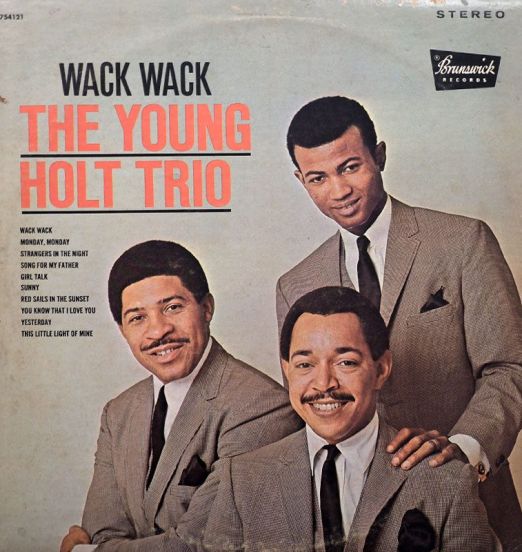 The Young Holt Trio - Wack Wack - Brunswick LP