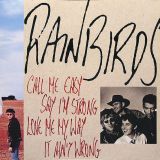Rainbirds – Call Me Easy Say I’m Strong Love Me My Way It Ain’t Wrong – Mercury GER LP