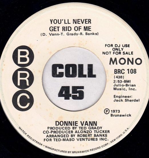 DonnieVann-You'llNeverGetRidOfMe(Mono)