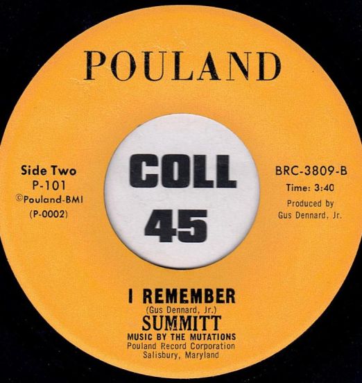 Summitt-IRemember