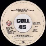 Funkadelic – Cholly (Funk Getting Ready To Roll) b/w Into You – Warner 7″
