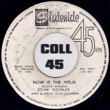 John Rowles – If I Only Had Time / Now Is The Hour – Stateside JA 7″
