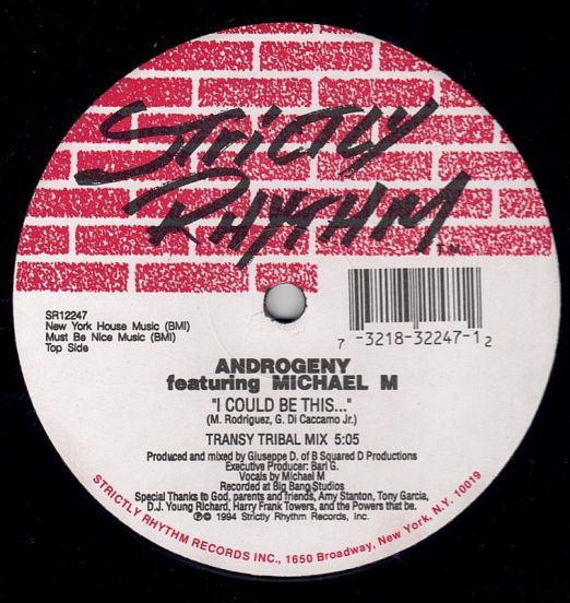 Androgeny Featuring Michael M - I Could Be This... - Strictly Rhythm 12"