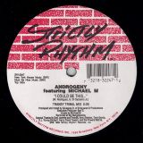 Androgeny Featuring Michael M – I Could Be This… – Strictly Rhythm 12″