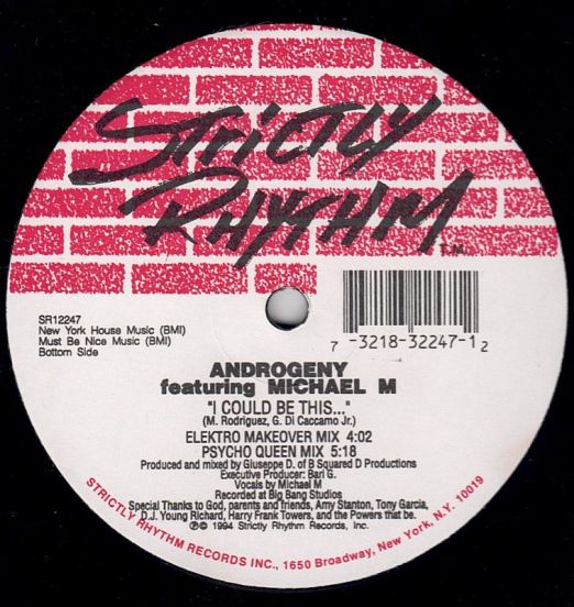 Androgeny-ICouldBeThisLABELB