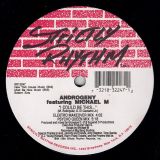 Androgeny Featuring Michael M – I Could Be This… – Strictly Rhythm 12″