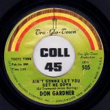 Don Gardner – Somebody’s Gonna Get Hurt b/w Ain’t Gonna Let You Get Me Down – Tru-Glo-Town 7″