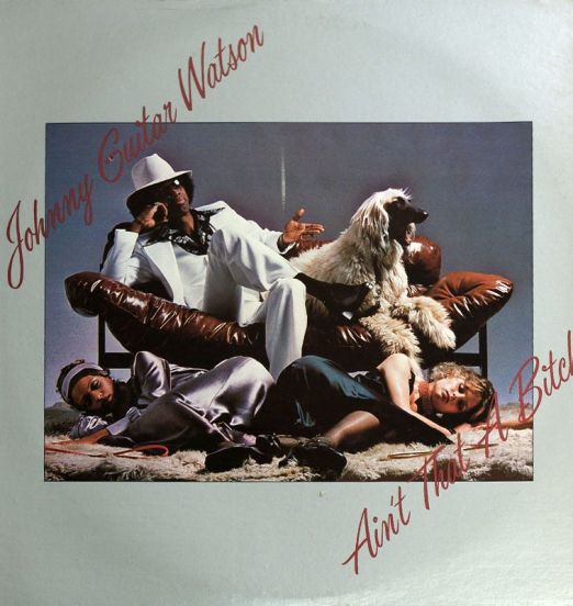 Johnny Guitar Watson - Ain't That A Bitch - DJM LP