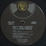 Johnny Guitar Watson – Ain’t That A Bitch – DJM LP