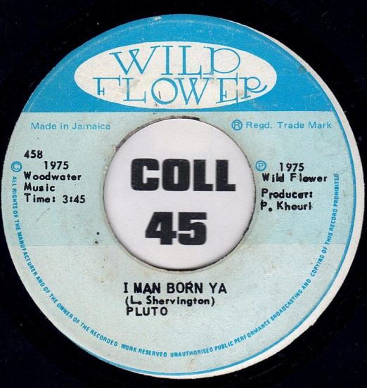 Pluto - I Man Born Ya b/w Born Version - Wildflower JA 7"