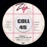 Surprise – Fantasy… ..Could You Be The One b/w Instrumental – Zip GER 7″