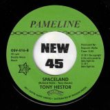 Tommy Neal – Goin’ To A Happening b/w Tony Hestor – Spaceland – Outta Sight UK 7″