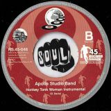Just Brothers – Honey b/w Apollo Studio Band – Honky Tonk Woman Instrumental – Record Shack AT 7″