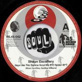 Shaun Escoffery – Days Like This (Spinna Vocal Mix BTO Spider 45ed) b/w BTO Spider Piano Mix – Record Shack AT 7″