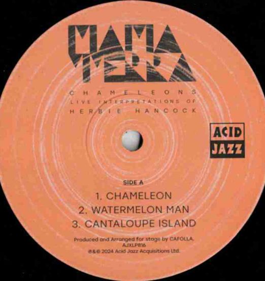 Mama Terra – Chameleons-LiveInterpretationsOfHerbieHancock–AcidJazzUKLP