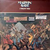Marvin Gaye – I Want You – Tamla LP