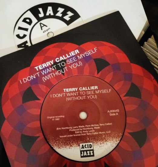 TerryCallier-IDon'tWanttoSee2025-AcidJazz45LABELAPIC