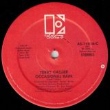Terry Callier – Sign Of The Times b/w Occasional Rain – Elektra 12″