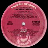 The Modulations – It’s Rough Out Here – Buddah LP