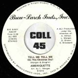 Ameriquette – You Are Life b/w Tell Me Tell Me (On This Christmas Day) – Brou-Larch Inds 7″