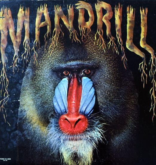 Mandrill - Mandrill - Polydor LP
